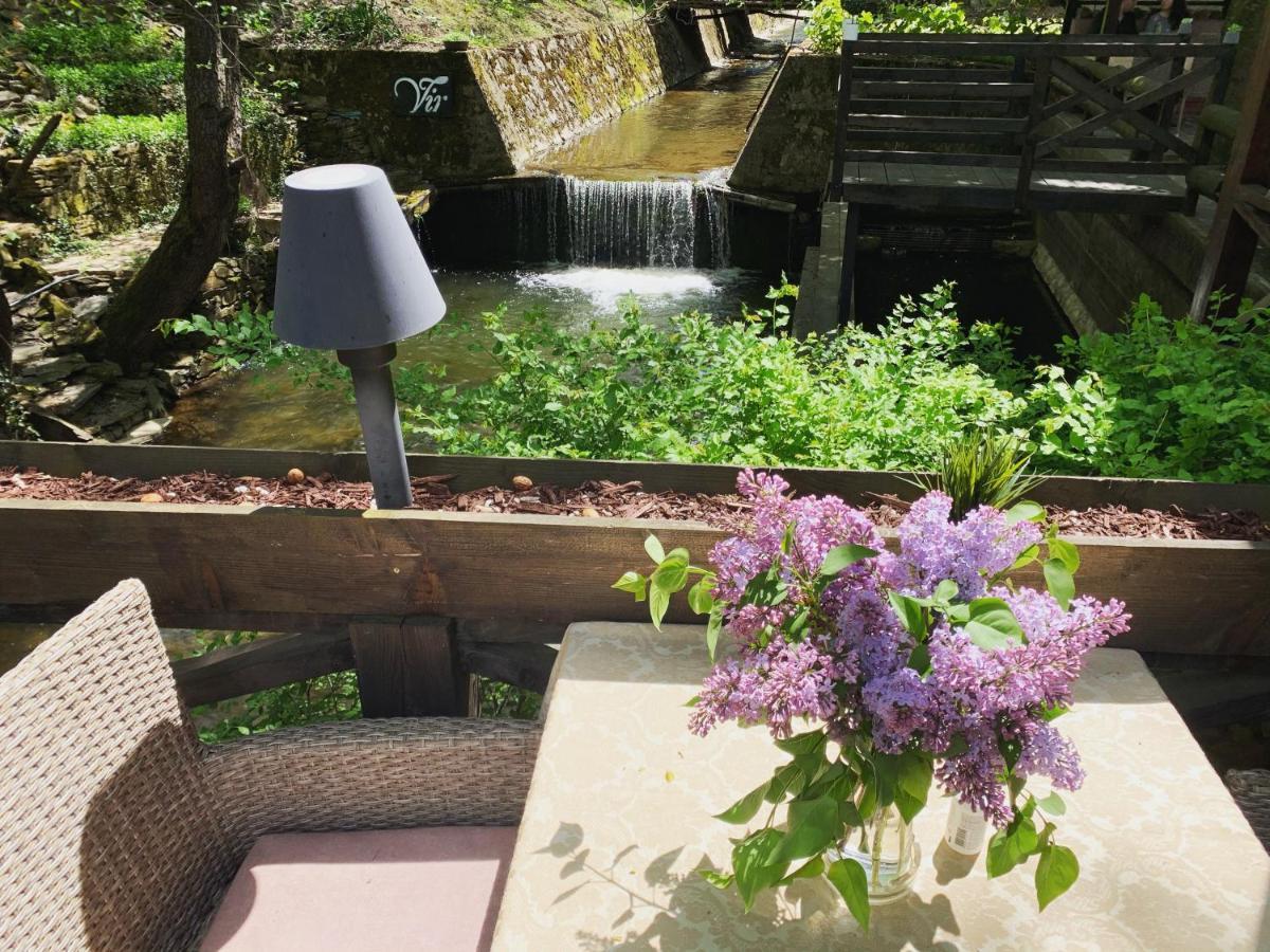 Garni Hotel Vir Врнячка-Баня Экстерьер фото