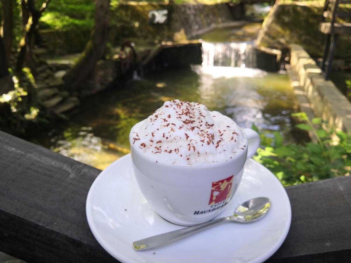 Garni Hotel Vir Врнячка-Баня Экстерьер фото